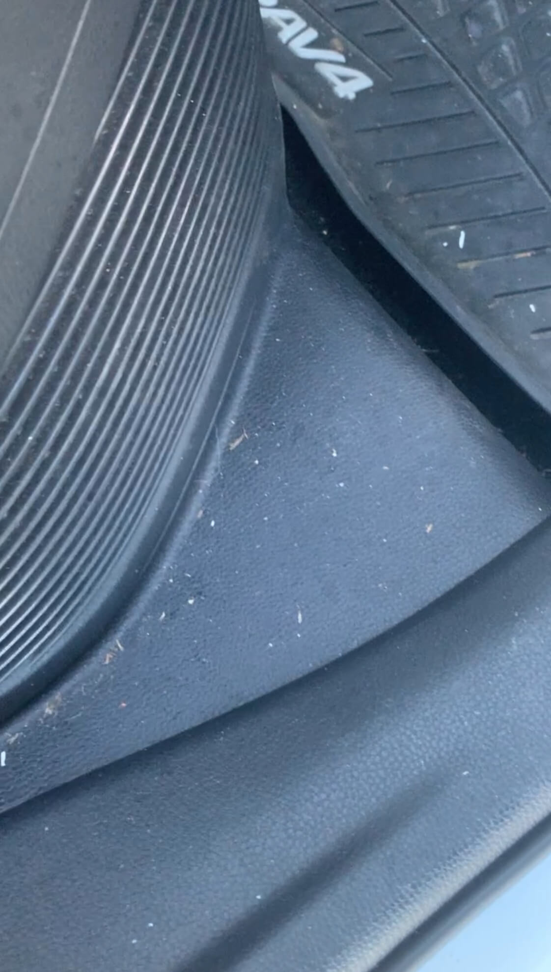 Dirty Car Before Detailing